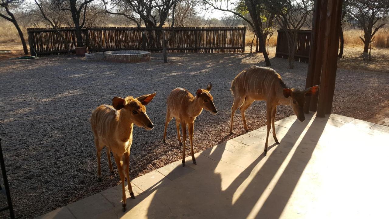 Makhato 84 Bush Lodge Bela-Bela Exteriér fotografie